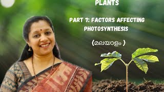 NEET Photosynthesis In Higher Plants Part 7 Factors affecting Photosynthesis [upl. by Hasile]