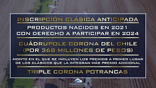 Inscripción Clásica Anticipada 2024 Hipódromo Chile Teletrak TV [upl. by Saihtam]