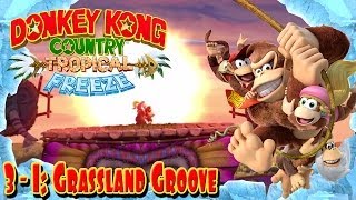 Donkey Kong Country Tropical Freeze  Part 19  quotGrassland Groovequot 31 100 Walkthrough [upl. by Arreic]