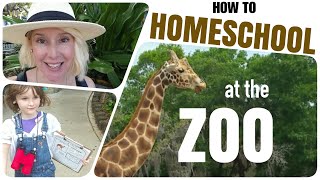 🐆 How To Turn A Zoo Trip Into A HOMESCHOOL DAY  Free Printable Download in the Description 🐆 [upl. by Neenej]