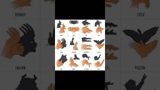 Shadow puppets short video [upl. by Kersten741]