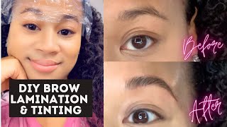 DIY Eyebrow Lamination UNDER 20 [upl. by Anitteb977]