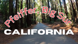 Bike Ride around Pfeiffer Big Sur California Campground [upl. by Gawlas]