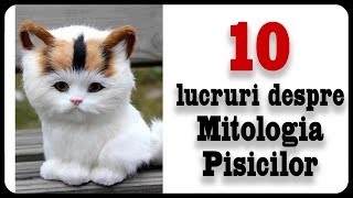 10 lucruri despre Mitologia Pisicilor [upl. by Maibach]