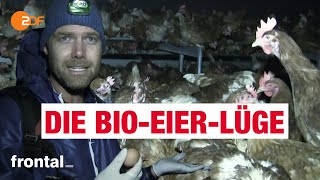 BioEier Massentierhaltung und Tierleid  frontal [upl. by Lihkin63]