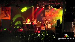 Raging Fyah  Reggae Jam 832012 [upl. by Telocin]