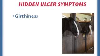 Hidden symptoms of horse ulcers [upl. by Ozkum]