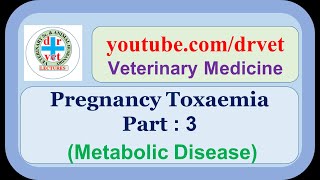 Pregnancy Toxaemia Part 3 [upl. by Einafats]