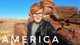 America  Ep 11  Petrified Forest [upl. by Grati]