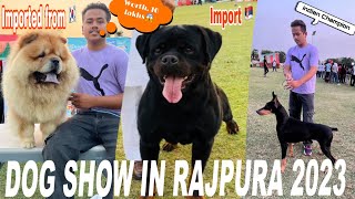 Dog Show in Punjab 2023  Rajpura Dog show 2023  Worth 10 lakhs 😱 [upl. by Ambrosane]