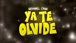 Natanael Cano  Ya Te Olvide [upl. by Alleirbag]