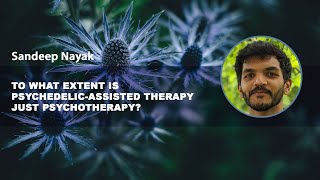 To what extent is psychedelicassisted therapy just psychotherapy – Sandeep Nayak [upl. by Arbmahs]