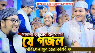 মাদানী হুজুরের অনুরোধে যে গজল গাইলেন।জুবায়ের আহমদ তাশরীফ।Qari Jubayer Ahmad Tasrif New Gojol 2024 [upl. by Julee]