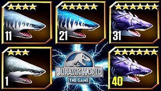 MEGALODON MAX LEVEL FEEDING JURASSIC WORLD [upl. by Engamrahc]