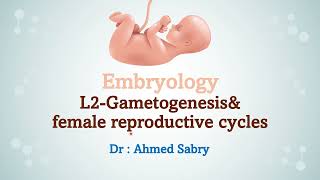 Embryology lecture 2  gametogenesis and female reproductive cycles [upl. by Yci96]