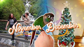 Steavenson Falls 2022 amp Decorating for Christmas [upl. by Hopfinger507]