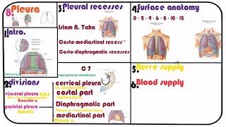 8 The pleura  divisions recesses surface anatomy bood amp nerve supply [upl. by Ailisab806]