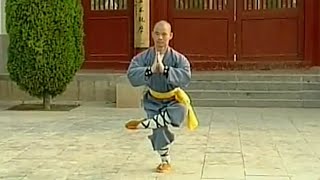 Shaolin Kung Fu Combat Styles 16 big Buddha form 大罗汉拳 da luohan quan [upl. by Lisette723]