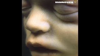 Rammstein  Sonne Guitar cover amp Tabs rammstein guitarcover guitartabs sonne [upl. by Enairb]