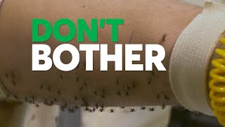 Dont Bother Using These Insect Repellents  Consumer Reports [upl. by Llednyl]