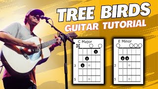 Tree Birds Dylan Gossett Guitar Tutorial [upl. by Swithin]