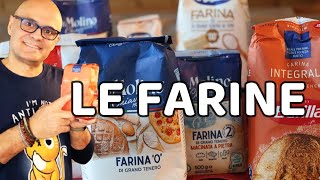 LE FARINE CHE USI IN CUCINA E A COSA SERVONO [upl. by Oirramed]