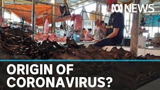 Did coronavirus come from a pangolin in a Wuhan wet market  ABC News [upl. by Hogg]