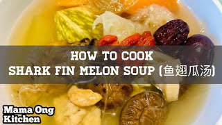 How to cook Shark Fin Melon Soup  鱼翅瓜汤 Step by Step [upl. by Yblocaj]