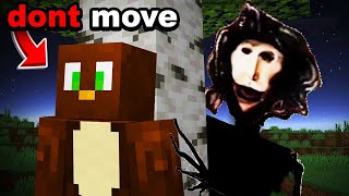 If you see TOE on your Minecraft World DONT MOVE [upl. by Kenny]