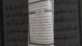 surah yaseen ayat full [upl. by Enyaz]