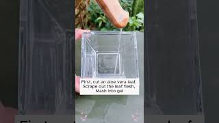 Instructions for making your own growth stimulating water garden gardening plants [upl. by Aydidey34]