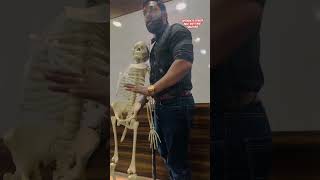 education botany physicswallah medicaltrending viralvideo latestnews fyp skeleton [upl. by Oirasor218]