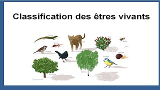 Classification des êtres vivants [upl. by Ollie]