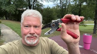 Hand Drill Harvesting Roadside Horseweed Leaves Fire Roll [upl. by Linzy]