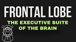 Frontal Lobe The Executive Suite of the Brain [upl. by Sandon]