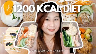 I tried the 1200 kcal diet for 5 days 10lbs in 5days  Drei Casimiro SmartMeals [upl. by Ettevi]