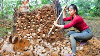 Harvest Palm Weevil Larva In Tree Trunks goes to the market sell  Farm Life  Tiểu Vân Daily Life [upl. by Abbie]