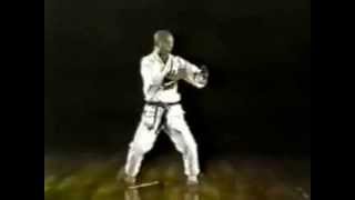 Tatsuo Suzuki  Rohai 鹭牌 kata [upl. by Kasevich]