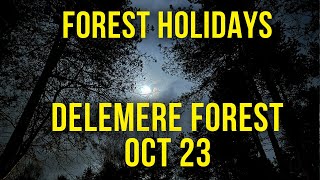 Forest Holidays  Delamere Forest October 23 [upl. by Nyliram]