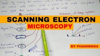 2 The Principle of the Electron Microscope [upl. by Hajan]