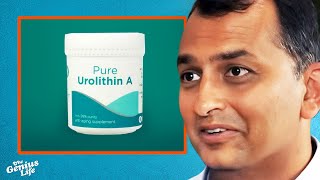 The INSANE Longevity Benefits of Urolithin A  Dr Anurag Singh [upl. by Barthel]