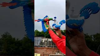 Electric Flying Bird with Hanging wire Automatic for Ceiling parrot shorts [upl. by Suiramaj]