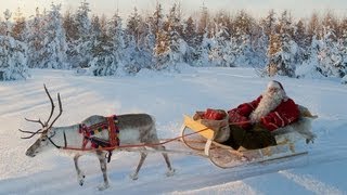 Corsa delle renne di Babbo Natale in Lapponia 🦌🎅 Rovaniemi Finlandia Santa Claus Villaggio [upl. by Giselle]