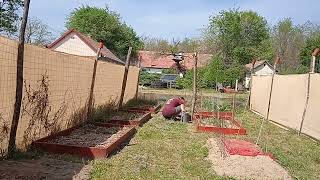 Werken in de moestuin [upl. by Alleuol]