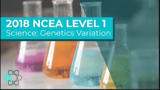 2018 NCEA L1 Genetics variation full worked answers [upl. by Seni]