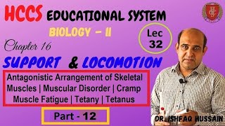 ANTAGONISTIC ARRANGEMENT OF SKELETAL MUSCLES  Ch16 Part 12  BIOII  Prof ISHFAQ  LEC32 [upl. by Wade810]