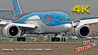 Boeing 787 Dreamliner TUI GTUIB quotAlfiequot Summer is Back [upl. by Esinaj]