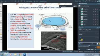 3rd wk of pregnancy  gastrulation  Dr Ahmed Farid [upl. by Amir]