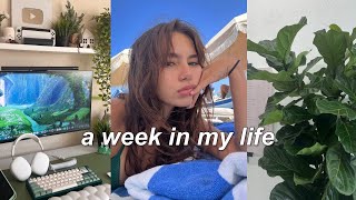 weekly vlog ᡣ •  • 𐭩 ♡  big book haul dinner with friends simple days [upl. by Alliuqat]