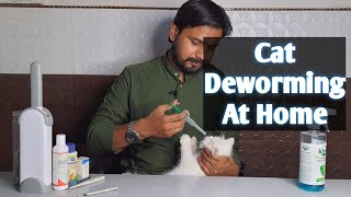 How to Deworm a cat at home  बिल्ली की डीवॉर्मिंग घर मै केसे करे [upl. by Rockefeller926]